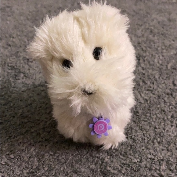 american girl dog coconut